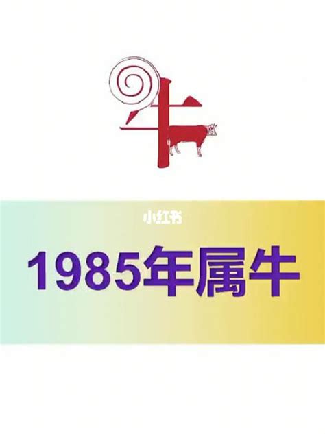 1985年什么命